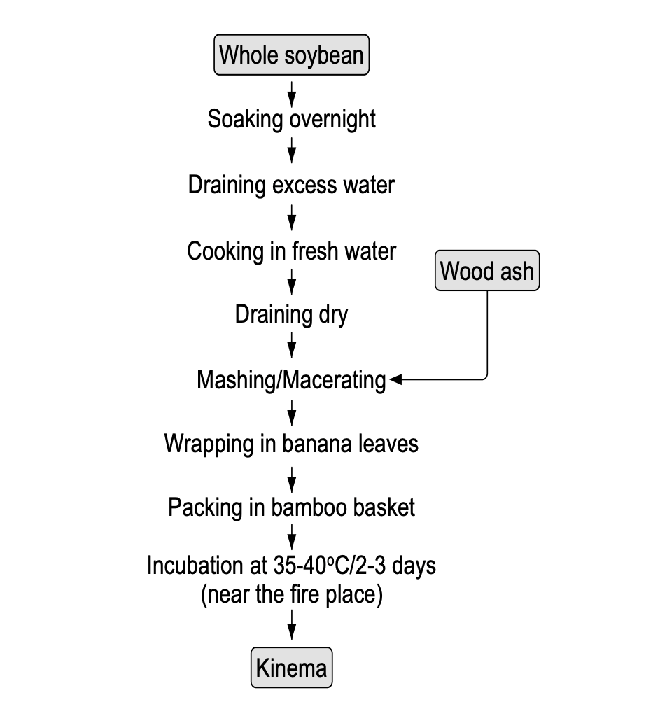 Traditional Process of Kinema Making: From Fermentation to Health ...