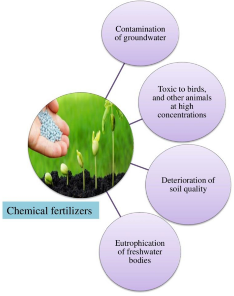 Negative effects of chemical fertilizers