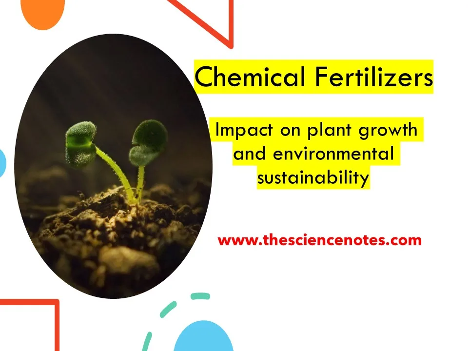 Chemical fertilizers Impact on plant growth and environmental