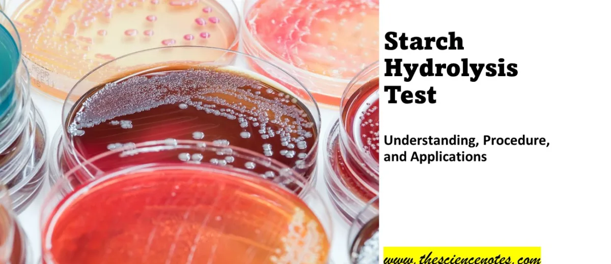 Starch Hydrolysis test