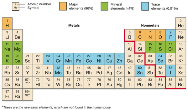 Elementos del cuerpo humano y su posición en la tabla periódica.