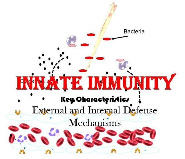 innate immunity notes