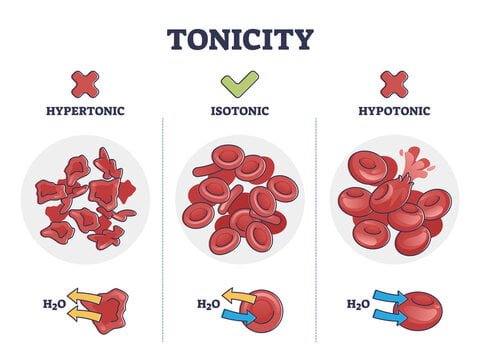 Tonicity and its impact on cells