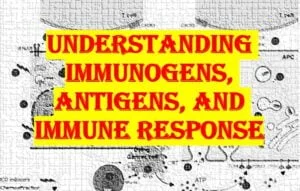 immune response notes