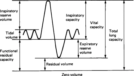 Total Lung capacity