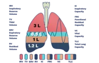 Vital Capacity Measurement