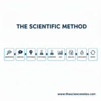 A horizontal infographic on a white background titled "THE SCIENTIFIC METHOD" in bold navy blue text. The flowchart features eight interconnected light blue boxes, each containing a dark blue icon and a label. The steps are: Observation (magnifying glass), Question (thought bubble), Hypothesis (lightbulb), Experiment (beaker), Data (bar graph), Analysis (document with magnifying glass), Conclusion (checkmark icon), and Repeat (circular arrows). Arrows point from left to right between each box, and the website URL "www.thesciencenotes.com" is printed in the bottom right corner.