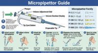 A comprehensive educational infographic titled "Micropipettor Guide" showing the parts of a micropipettor, volume ranges (P-2 to P-1000), color-coded tips, and step-by-step instructions for aspirating and dispensing liquid.